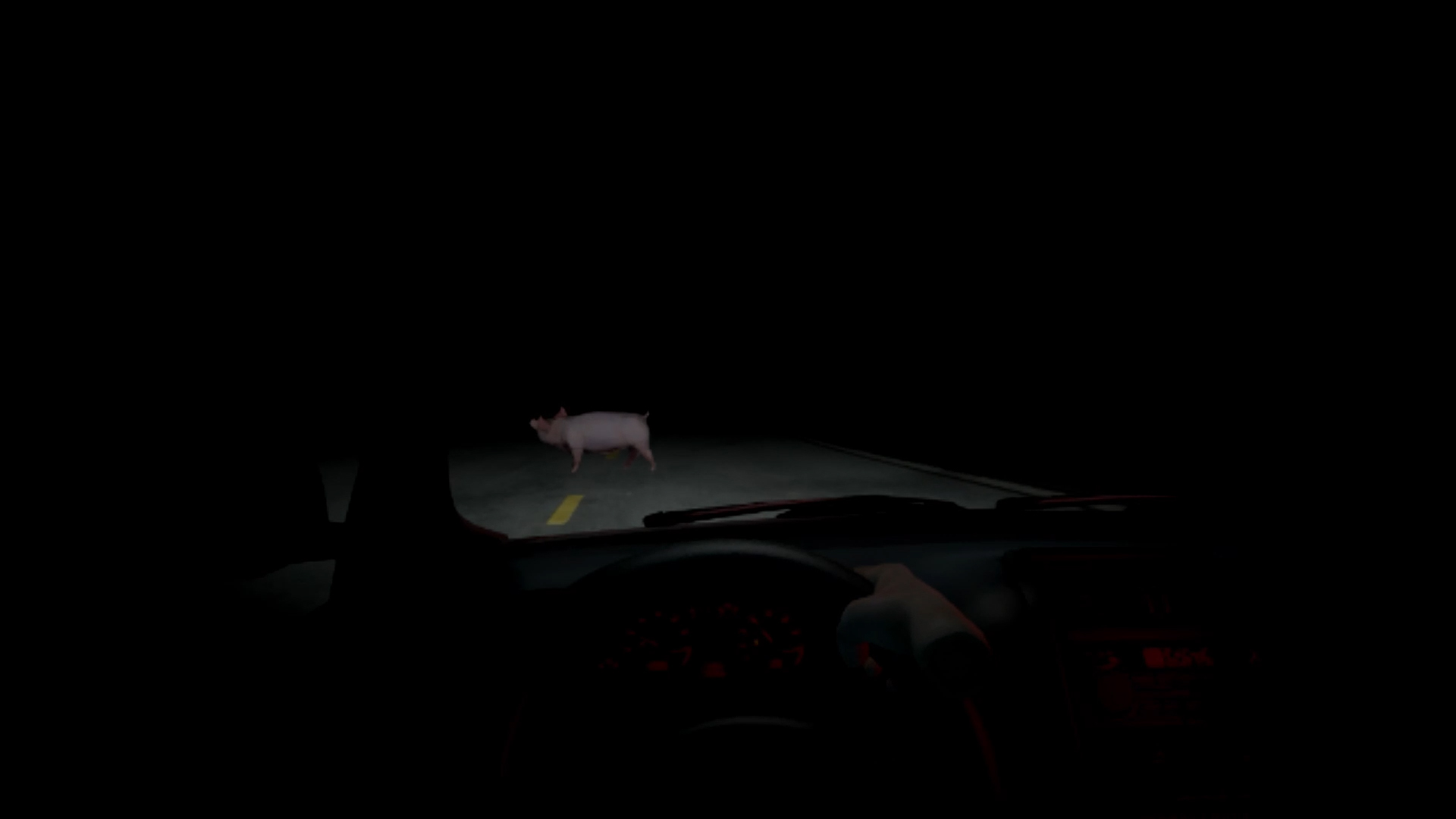 datura pig